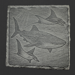 Square Slate Coaster - Manta Rays and Shark